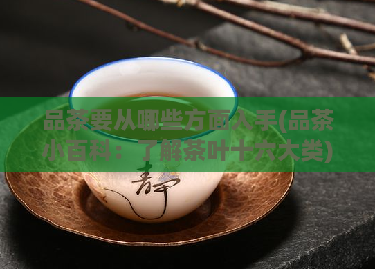 品茶要从哪些方面入手(品茶小百科：了解茶叶十六大类)