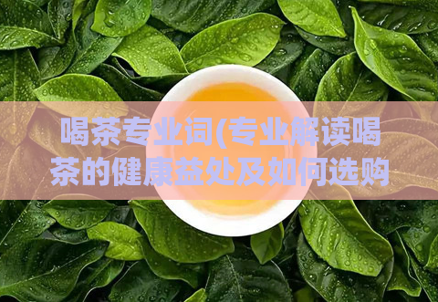 喝茶专业词(专业解读喝茶的健康益处及如何选购茶叶)