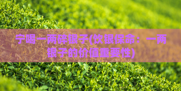 宁喝一两碎银子(饮银保命:一两银子的价值重要性)