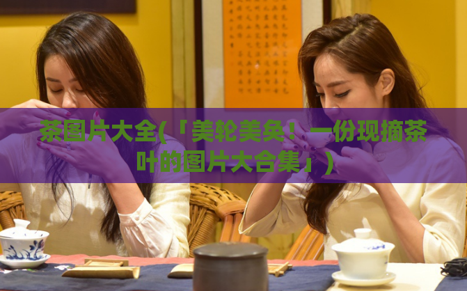 茶图片大全(「美轮美奂！一份现摘茶叶的图片大合集」)