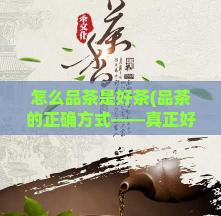 怎么品茶是好茶(品茶的正确方式——真正好茶的识别)