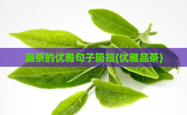 品茶的优雅句子简短(优雅品茶)