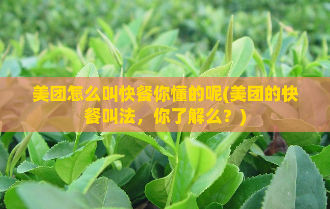 美团怎么叫快餐你懂的呢(美团的快餐叫法，你了解么？)