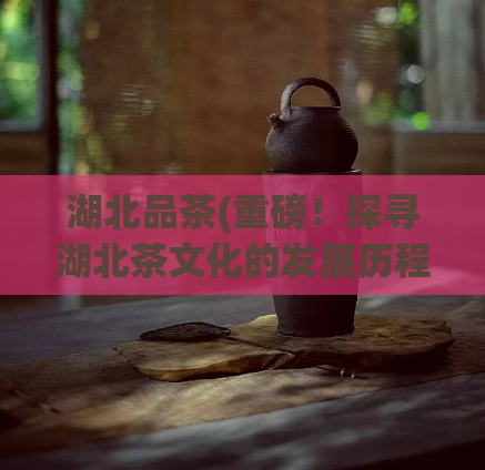 湖北品茶(重磅！探寻湖北茶文化的发展历程)