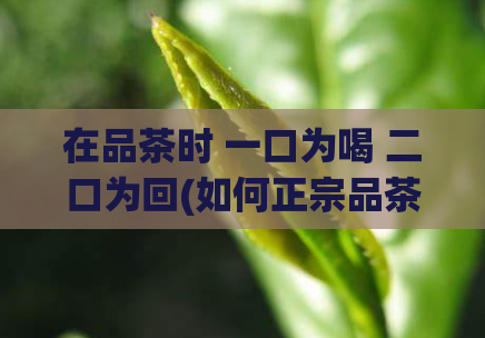 在品茶时 一口为喝 二口为回(如何正宗品茶：喝一口，回味两次)