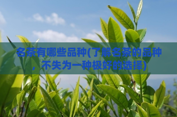 名茶有哪些品种(了解名茶的品种,不失为一种极好的选择)