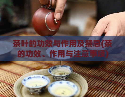 茶叶的功效与作用及禁忌(茶的功效、作用与注意事项)