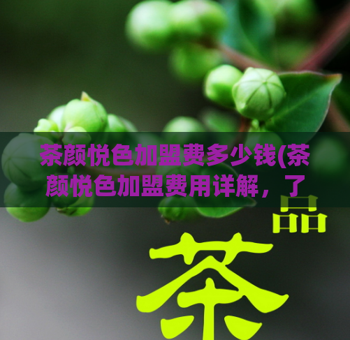 茶颜悦色加盟费多少钱(茶颜悦色加盟费用详解，了解加盟门槛与盈利前景)