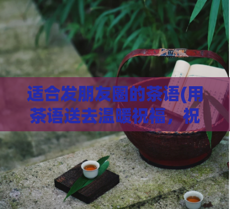 适合发朋友圈的茶语(用茶语送去温暖祝福，祝愿你每日安康幸福)