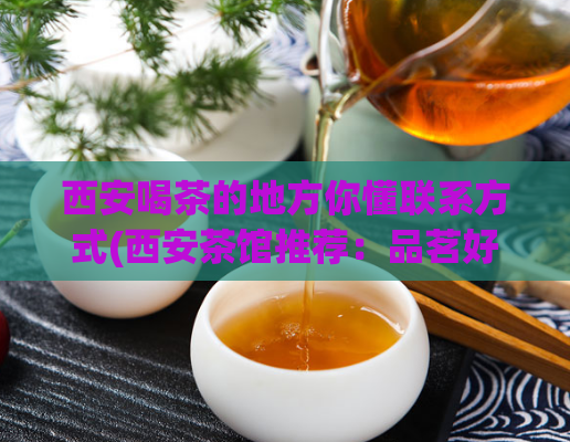 西安喝茶的地方你懂联系方式(西安茶馆推荐：品茗好地方大盘点)