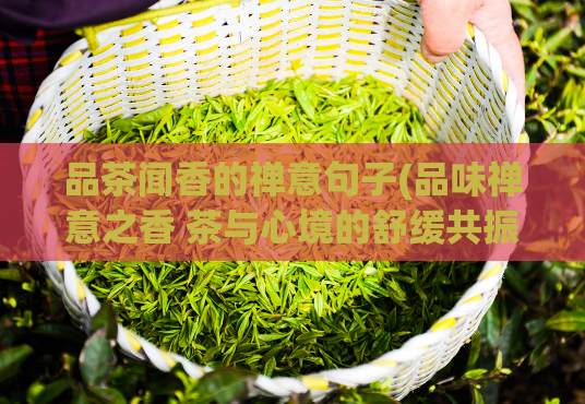 品茶闻香的禅意句子(品味禅意之香 茶与心境的舒缓共振)