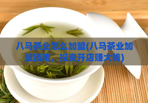 八马茶业怎么加盟(八马茶业加盟指南，投资开店赚大钱)
