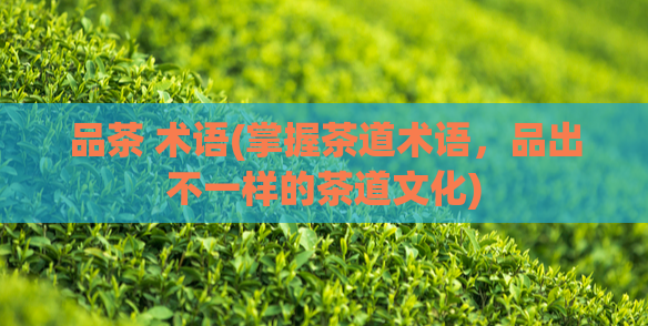 品茶 术语(掌握茶道术语,品出不一样的茶道文化)