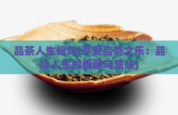 品茶人生短句(享受品茶之乐：品味人生的香醇与滋味)