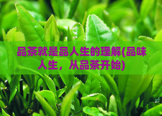 品茶就是品人生的理解(品味人生，从品茶开始)