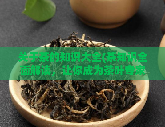 关于茶的知识大全(茶知识全面解读，让你成为茶叶专家！)