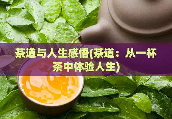 茶道与人生感悟(茶道：从一杯茶中体验人生)