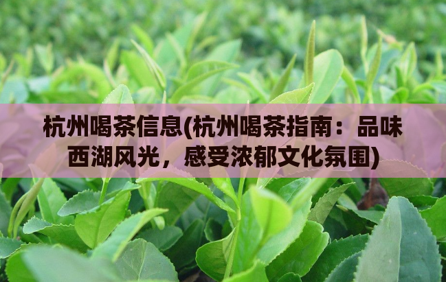 杭州喝茶信息(杭州喝茶指南：品味西湖风光，感受浓郁文化氛围)