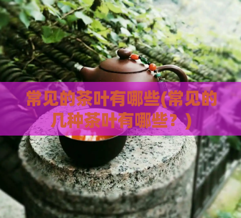常见的茶叶有哪些(常见的几种茶叶有哪些？)