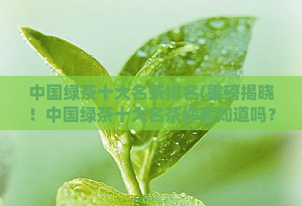 中国绿茶十大名茶排名(重磅揭晓！中国绿茶十大名茶你都知道吗？排名公布！)