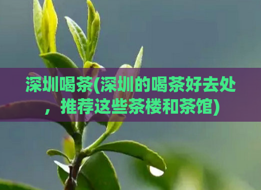 深圳喝茶(深圳的喝茶好去处，推荐这些茶楼和茶馆)