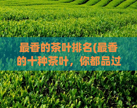 最香的茶叶排名(最香的十种茶叶，你都品过吗？)