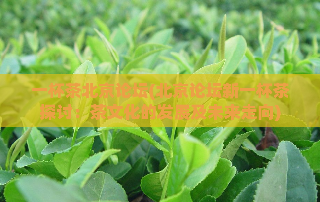 一杯茶北京论坛(北京论坛新一杯茶探讨：茶文化的发展及未来走向)