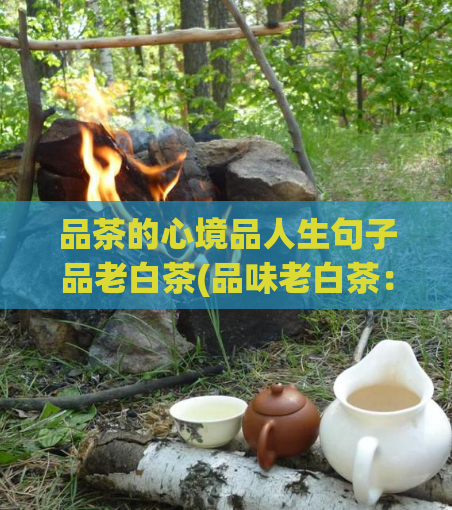 品茶的心境品人生句子品老白茶(品味老白茶：探寻茶香中的人生智慧)