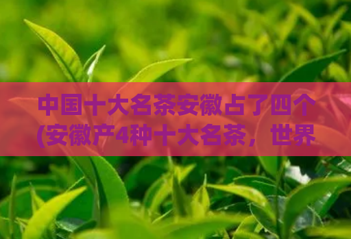 中国十大名茶安徽占了四个(安徽产4种十大名茶，世界知名！)