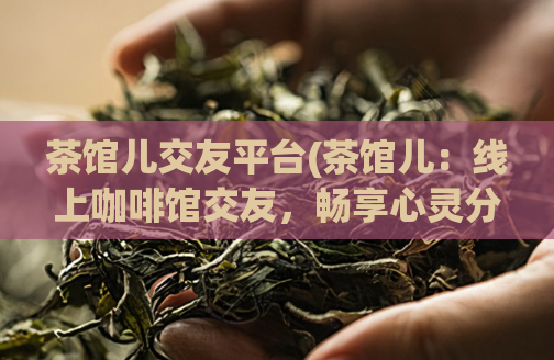 茶馆儿交友平台(茶馆儿：线上咖啡馆交友，畅享心灵分享)