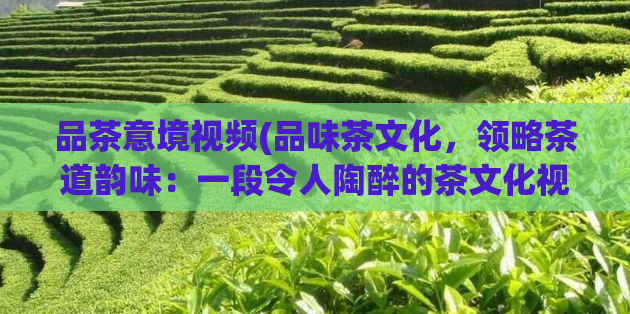 品茶意境视频(品味茶文化，领略茶道韵味：一段令人陶醉的茶文化视频)