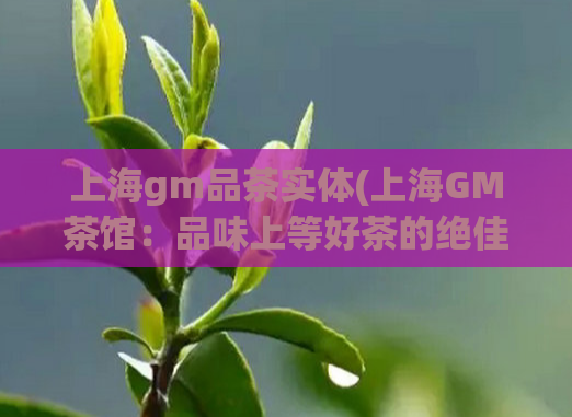 上海gm品茶实体(上海GM茶馆：品味上等好茶的绝佳去处)