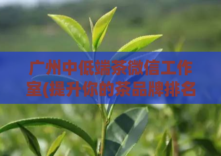 广州中低端茶微信工作室(提升你的茶品牌排名，与广州茶微信工作室合作吧)