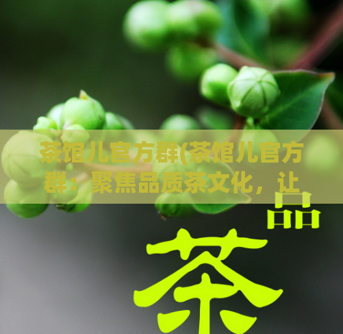 茶馆儿官方群(茶馆儿官方群：聚焦品质茶文化，让茶文化更贴近人生)