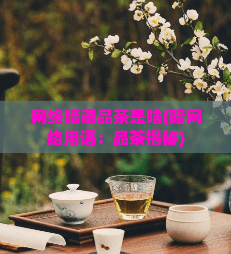 网络暗语品茶是啥(暗网络用语：品茶揭秘)