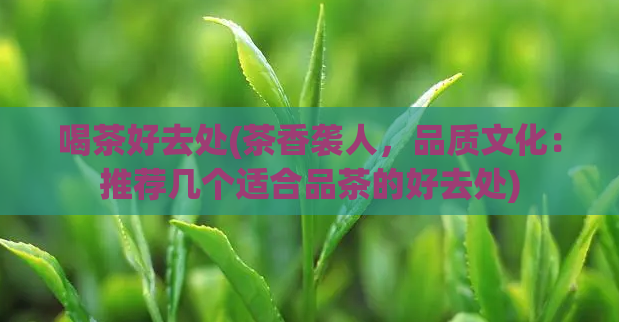 喝茶好去处(茶香袭人，品质文化：推荐几个适合品茶的好去处)
