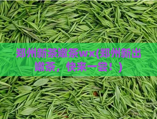 郑州新茶嫩茶wx(郑州新出嫩茶，快来一尝！)