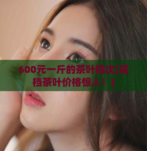 600元一斤的茶叶档次(高档茶叶价格惊人!)