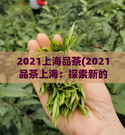 2021上海品茶(2021品茶上海：探索新的味道)
