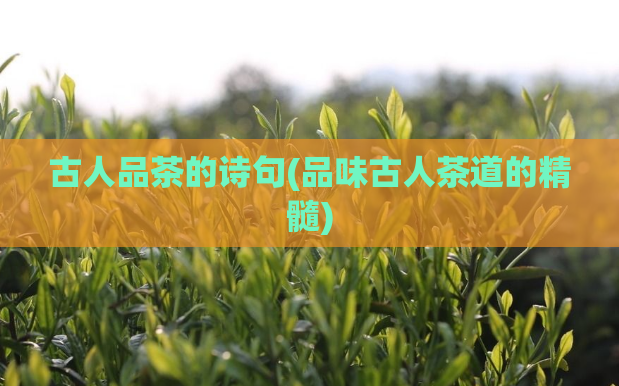 古人品茶的诗句(品味古人茶道的精髓)