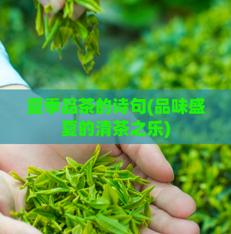 夏季品茶的诗句(品味盛夏的清茶之乐)