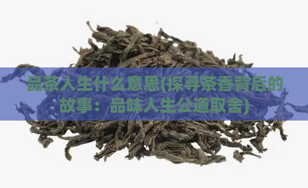 品茶人生什么意思(探寻茶香背后的故事：品味人生公道取舍)
