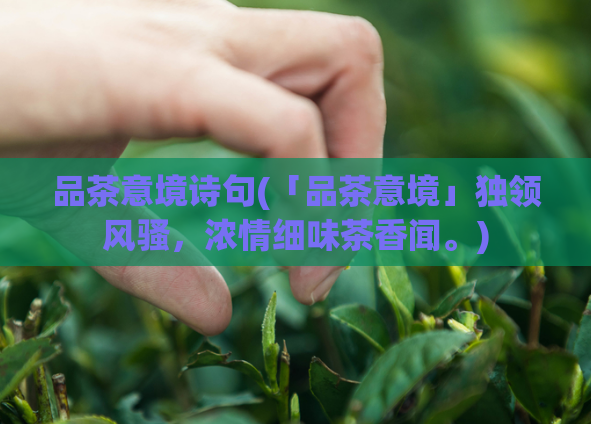 品茶意境诗句(「品茶意境」独领风骚，浓情细味茶香闻。)