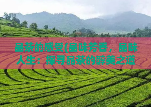 品茶的感受(品味芳香,品味人生:探寻品茶的醇美之道)