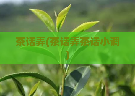 茶话弄(茶话弄茶话小调)