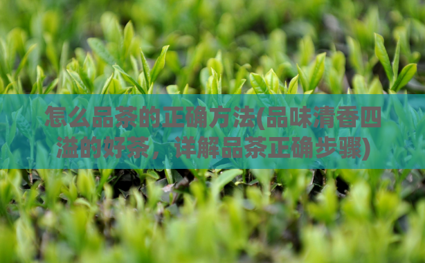 怎么品茶的正确方法(品味清香四溢的好茶，详解品茶正确步骤)