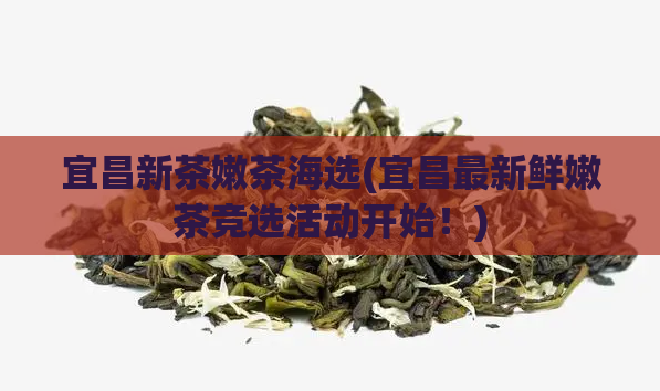 宜昌新茶嫩茶海选(宜昌最新鲜嫩茶竞选活动开始！)