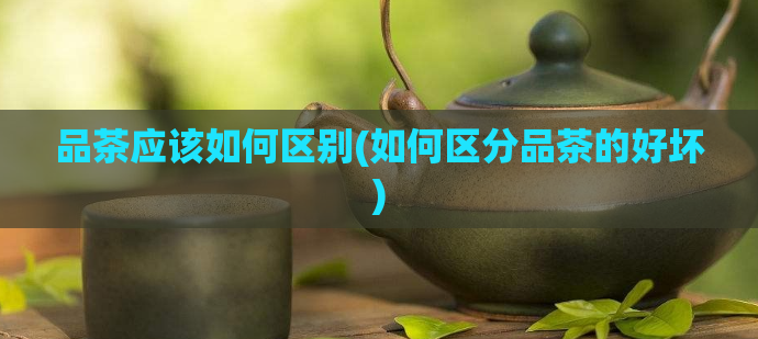 品茶应该如何区别(如何区分品茶的好坏)