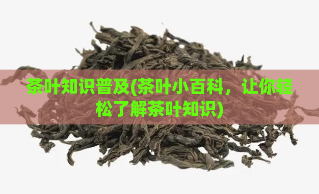 茶叶知识普及(茶叶小百科,让你轻松了解茶叶知识)