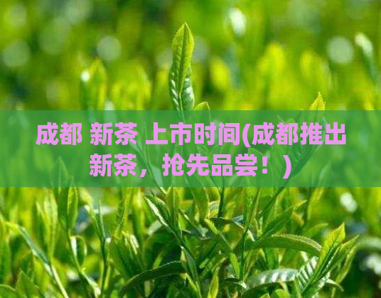 成都 新茶 上市时间(成都推出新茶，抢先品尝！)